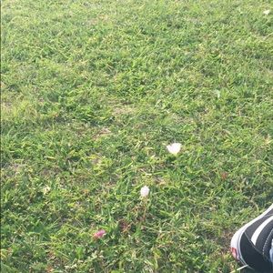 Meet your Posher, Karina